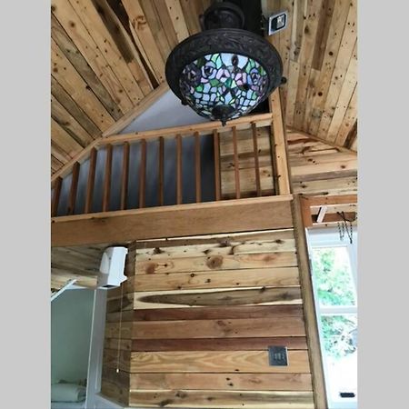 The Shed . A Cosy, Peaceful, 96% Recycled, Chalet. Swansea Extérieur photo