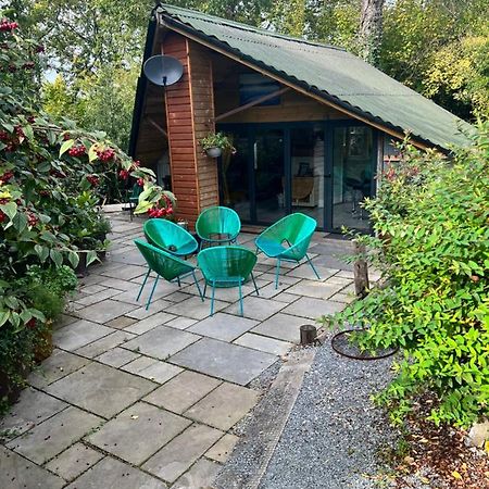The Shed . A Cosy, Peaceful, 96% Recycled, Chalet. Swansea Extérieur photo