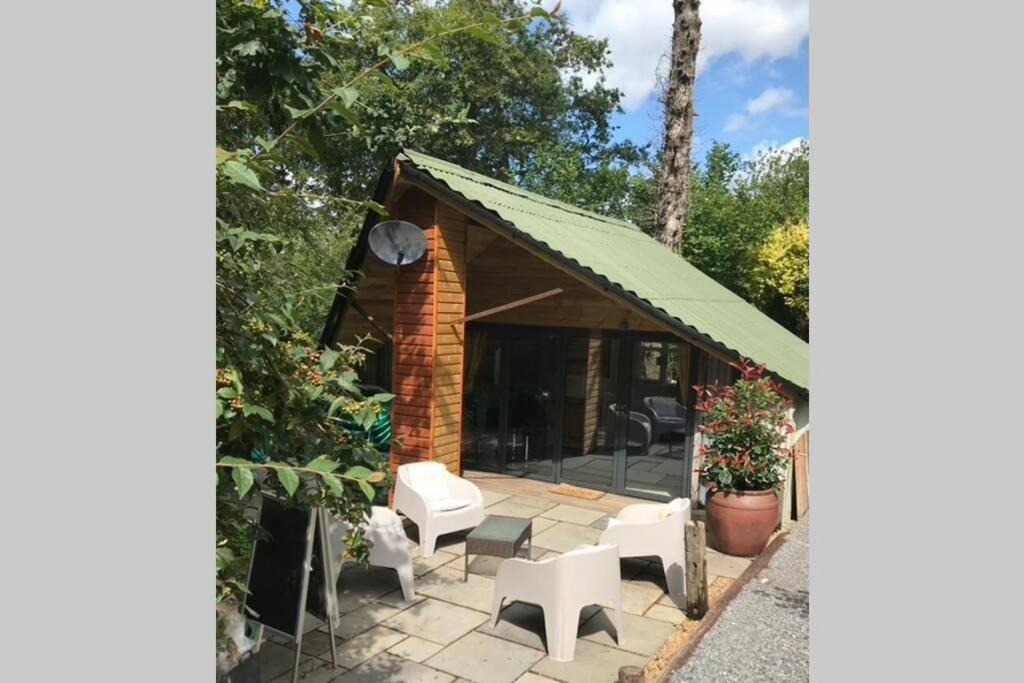 The Shed . A Cosy, Peaceful, 96% Recycled, Chalet. Swansea Extérieur photo
