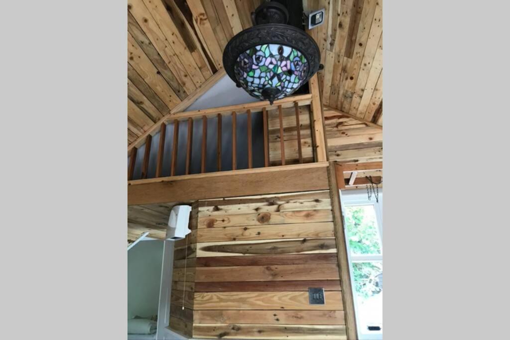 The Shed . A Cosy, Peaceful, 96% Recycled, Chalet. Swansea Extérieur photo