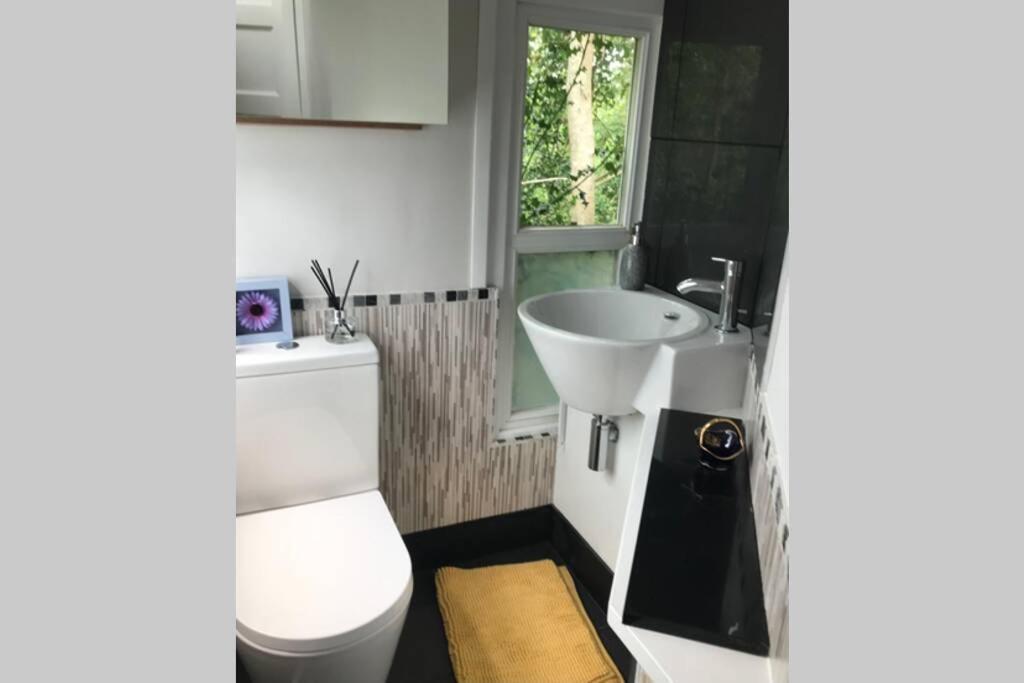 The Shed . A Cosy, Peaceful, 96% Recycled, Chalet. Swansea Extérieur photo