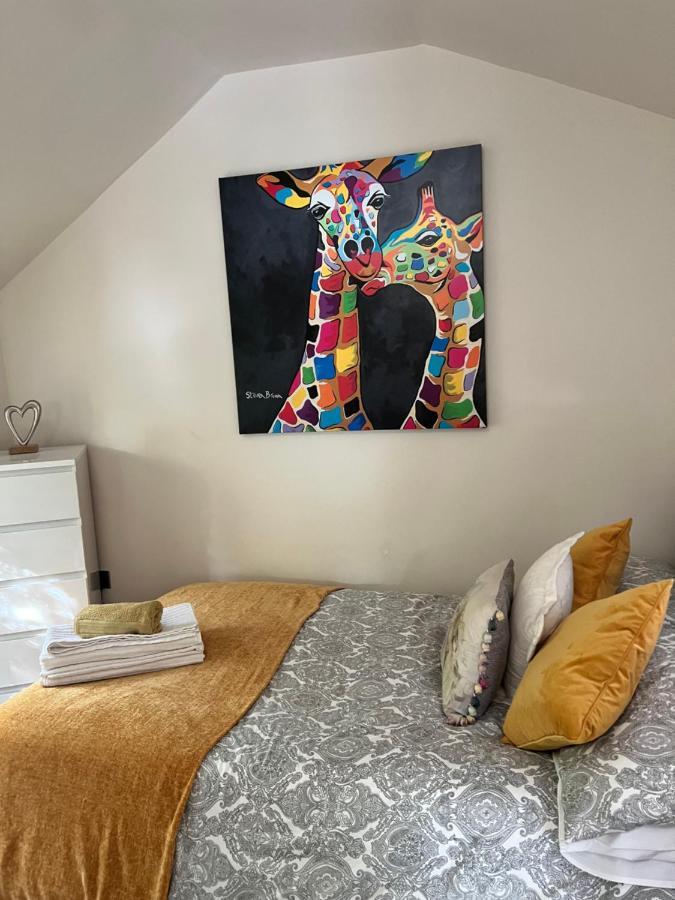 The Shed . A Cosy, Peaceful, 96% Recycled, Chalet. Swansea Extérieur photo
