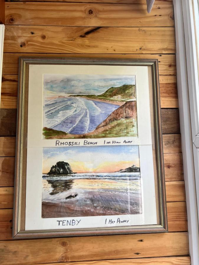 The Shed . A Cosy, Peaceful, 96% Recycled, Chalet. Swansea Extérieur photo