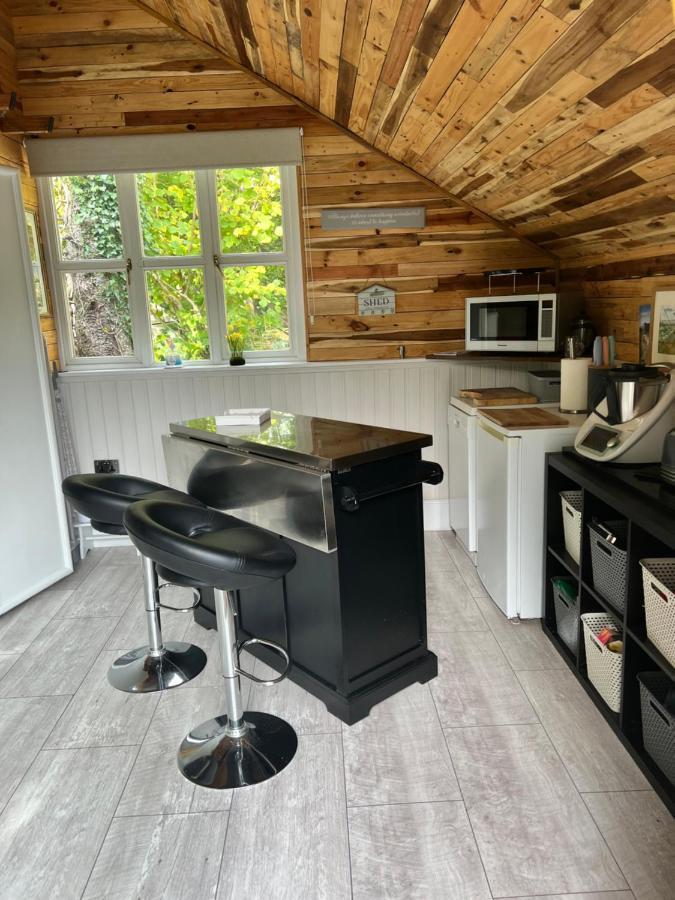 The Shed . A Cosy, Peaceful, 96% Recycled, Chalet. Swansea Extérieur photo